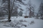 Nom du fichier=neige_jardin_I0807.JPG
Taille du fichier=124Ko
Dimensions : 698x457
Ajouté le : 01 Décembre 2010 neige_jardin_I0807.JPG