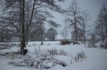 neige_jardin_I0807.JPG