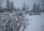 Nom du fichier=neige_jardin_I0819.JPG
Taille du fichier=120Ko
Dimensions : 699x481
Ajouté le : 01 Décembre 2010 neige_jardin_I0819.JPG