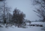 Nom du fichier=neige_jardin_I0839.JPG
Taille du fichier=121Ko
Dimensions : 700x478
Ajouté le : 01 Décembre 2010 neige_jardin_I0839.JPG
