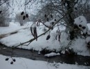 Nom du fichier=neige_rivière_I0813.JPG
Taille du fichier=128Ko
Dimensions : 699x534
Ajouté le : 01 Décembre 2010 neige_rivière_I0813.JPG