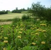 Nom du fichier=phlomis_846.JPG
Taille du fichier=198Ko
Dimensions : 699x679
Ajouté le : 22 Juin 2013 phlomis_846.JPG