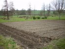 potager_021.JPG