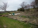 potager_023.JPG
