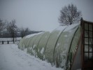 serre_neige_23.JPG