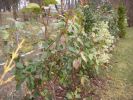 DSCN2880.JPG