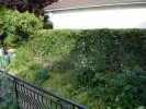 Jardin_17_07_09_2.JPG