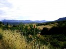 Nom du fichier=Jarloz_Paysage,_cardère.JPG
Taille du fichier=69Ko
Dimensions : 621x466
Ajouté le : 04 Août 2009 Jarloz_Paysage,_cardère.JPG