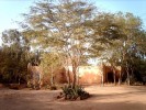 Nom du fichier=Jarloz__Sénégal_Popenguine.JPG
Taille du fichier=70Ko
Dimensions : 461x346
Ajouté le : 07 Novembre 2009 Jarloz__Sénégal_Popenguine.JPG