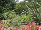 Nom du fichier=Madagascar_jardin.JPG
Taille du fichier=141Ko
Dimensions : 548x411
Ajouté le : 30 Août 2009 Madagascar_jardin.JPG