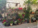 DSCF3779.JPG