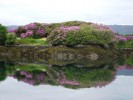 DSCF5169.JPG