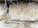 Nom du fichier=IMG_1449.JPG
Taille du fichier=93Ko
Dimensions : 500x375
Ajouté le : 02 Janvier 2017 IMG_1449.JPG