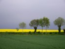 cainet3_23_05_13.jpg