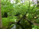 Nom du fichier=giverny_cours_d_eau.jpg
Taille du fichier=121Ko
Dimensions : 512x384
Ajouté le : 18 Août 2010 giverny_cours_d_eau.jpg