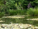 Nom du fichier=givery_etang2.jpg
Taille du fichier=115Ko
Dimensions : 512x384
Ajouté le : 18 Août 2010 givery_etang2.jpg