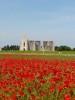 Nom du fichier=ile_de_ré_coquelicot.jpg
Taille du fichier=89Ko
Dimensions : 399x532
Ajouté le : 07 Juin 2010 ile_de_ré_coquelicot.jpg