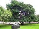 irlande_3.jpg