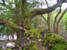 irlande_4.jpg