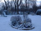 jardin_sous_la_neige_06_01_10.jpg