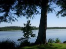 Nom du fichier=lac_souston_1.jpg
Taille du fichier=121Ko
Dimensions : 550x413
Ajouté le : 27 Août 2012 lac_souston_1.jpg