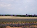 Nom du fichier=lavendin+plateau_vlensol.jpg
Taille du fichier=84Ko
Dimensions : 512x384
Ajouté le : 25 Juillet 2010 lavendin+plateau_vlensol.jpg