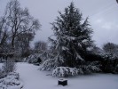 neige1_19_12_10.JPG