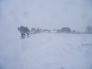 neige_6_mars_13.jpg