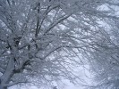 Nom du fichier=neige_9_mars_13.jpg
Taille du fichier=98Ko
Dimensions : 400x300
Ajouté le : 12 Mars 2013 neige_9_mars_13.jpg