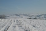 IMG_0178_1.jpg
