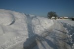 IMG_0180_1.jpg