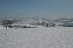 IMG_0186_1.jpg