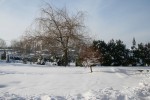 IMG_0193_1.jpg
