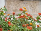DSC00668_réduite.jpg