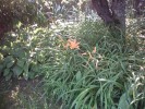 IMAG0055~0.JPG