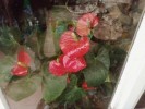 Photo0157.jpg