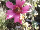 Photo0162~0.jpg