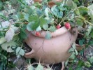 Photo0167.jpg