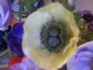 01-04-09_1135.jpg