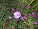 DSCN0046.JPG