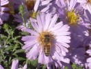 DSCN0063.JPG