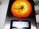 ananas_311_gr.JPG