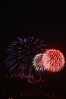 IMG_5822.JPG