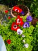 131_anemone_5B800x6005D.jpg