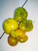 ob_b62c73_tomate-vert-de-huy-anciene-varriette.jpg