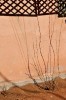 Nom du fichier=DSC_2251.jpg
Taille du fichier=249Ko
Dimensions : 531x800
Ajouté le : 24 Janvier 2017 DSC_2251.jpg