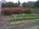 Nom du fichier=IMG02483-20170811-0731.jpg
Taille du fichier=163Ko
Dimensions : 1024x768
Ajouté le : 11 Août 2017 IMG02483-20170811-0731.jpg