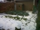 Nom du fichier=IMG02776-20171201-1338.jpg
Taille du fichier=144Ko
Dimensions : 1024x768
Ajouté le : 03 Décembre 2017 IMG02776-20171201-1338.jpg