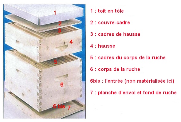 Les éléments de la ruche