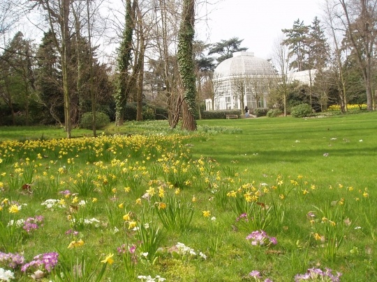 Les jardins du muse Albert Kahn